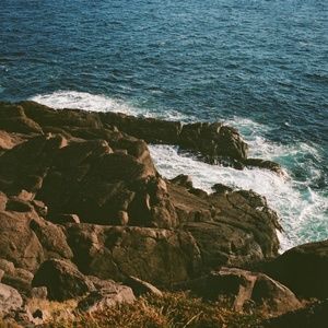 Meet your Posher, Lanni